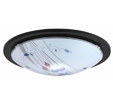 Потолочный светильник Planet 32125