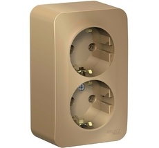 Розетка накладная двойная с заземлением (титан) Systeme Electric BLNRA010214