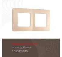 Рамка из поликарбоната на 2 поста Arte Milano 517.17-2.shampan