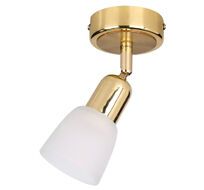 Спот Escada 5039/1PA_ESC