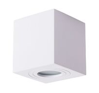 Накладной светильник ArteLamp GALOPIN A1461PL-1WH