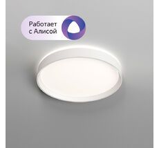 Накладной светильник Denkirs PLATO DK6510-WH/1