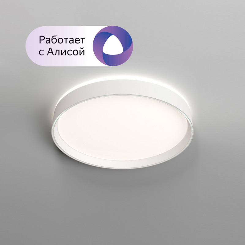 Накладной светильник Denkirs PLATO DK6510-WH/1