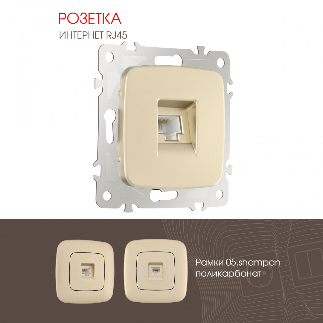 Розетка интернет RJ45 Arte Milano 205.45-1.shampan