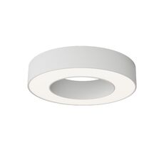 Потолочный светильник Maytoni Lua C093CL-24W4K-W_MY