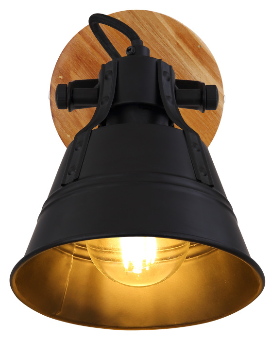 Спот Globo Gunther 15466S-1_GL