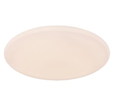 Потолочный светильник Globo RENA 48383-50RGBSH_GL