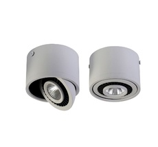 Потолочный светильник Favourite 1775-1C