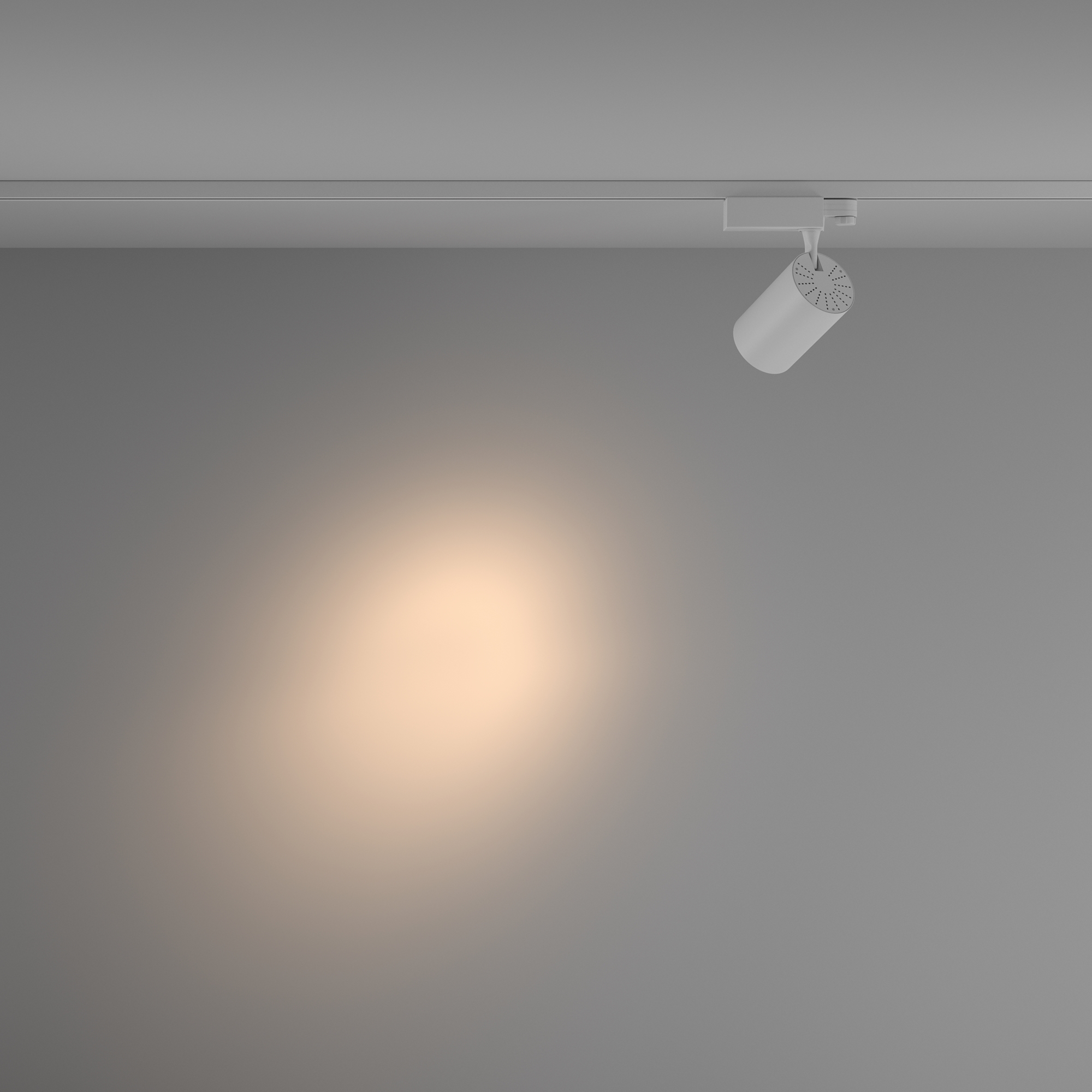 Трековый светильник Maytoni Technical Vuoro TR029-3-20W3K-S-W_MY