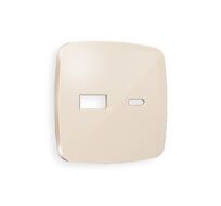 Лицевая панель для розетки 2USB тип A+C QUANT Ambrella Volt OMEGA OP3110_AMB