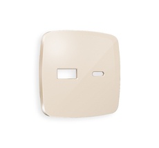 Лицевая панель для розетки 2USB тип A+C QUANT Ambrella Volt OMEGA OP3110_AMB