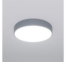 Потолочный светильник Eurosvet Entire a062834_EU