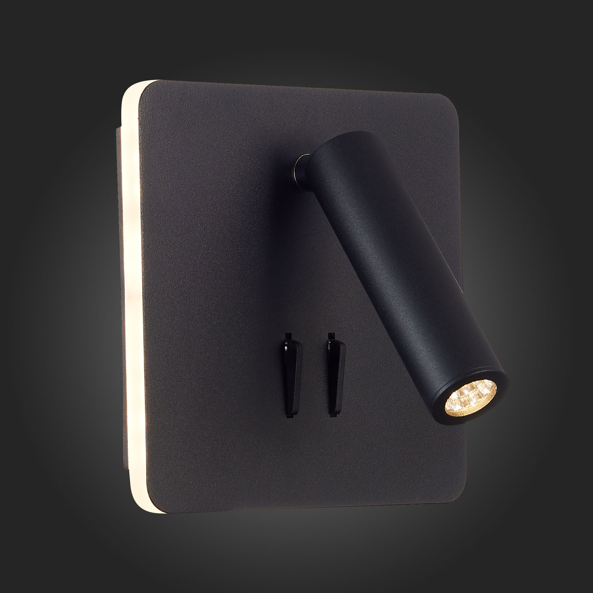 Настенный светильник ST Luce PINAGGIO SL1586.431.01