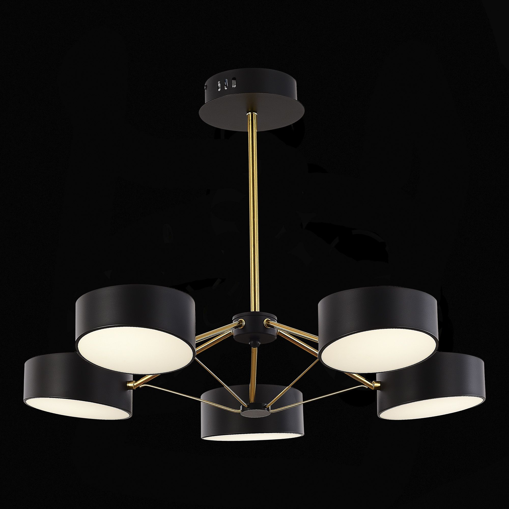 Потолочная люстра Evoluce на штанге MONTA LED SLE6005-402-05