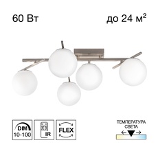 Потолочная люстра Citilux DORSY CL223151