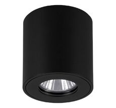 Уличный потолочный светильник Eglo TORRECOLA 901028