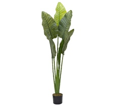 Дерево путешественников в горшке Garda Decor 29BJ-942