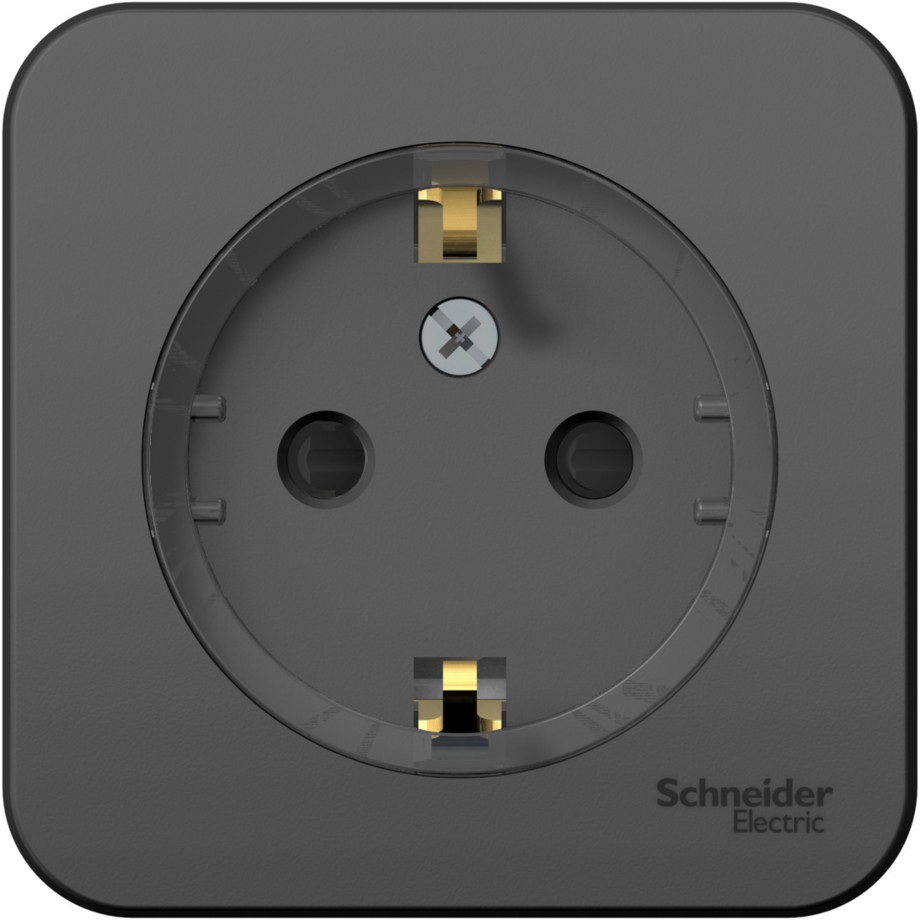 Розетка накладная с заземлением и шторками (антрацит) Systeme Electric BLNRA111116