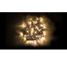 Гирлянда светодиодная 32954 IP44 Feron 32954_FR