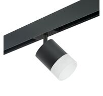 Трековый светильник однофазный Rullo для трека PRO Lightstar Rullo PRO348781_LS