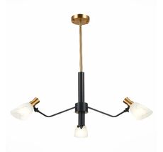 Подвесная люстра Evoluce LITA SLE205403-03