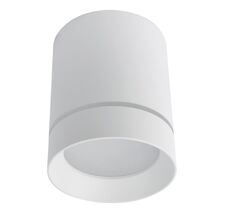 Потолочный светильник ArteLamp ELLE A1949PL-1WH