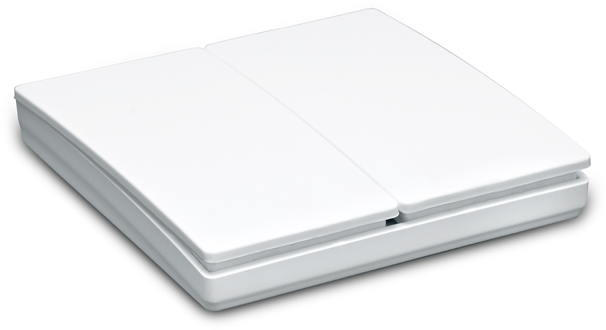 Выключатель беспроводной двухклавишный Feron 41129_FR