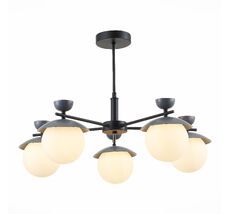 Потолочная люстра Evoluce GENOVA SLE220202-05