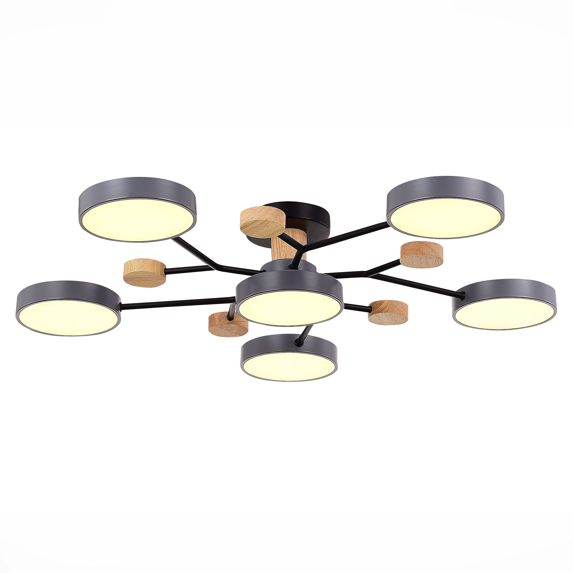 Потолочная люстра Evoluce FAEMA SLE6006-702-06