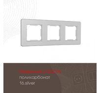 Рамка из поликарбоната на 3 поста Arte Milano 502.16-3.silver