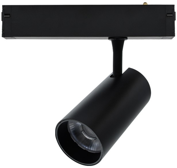 Cветильник светодиодный трековый магнитный 220V Aployt APL.0205.00.20