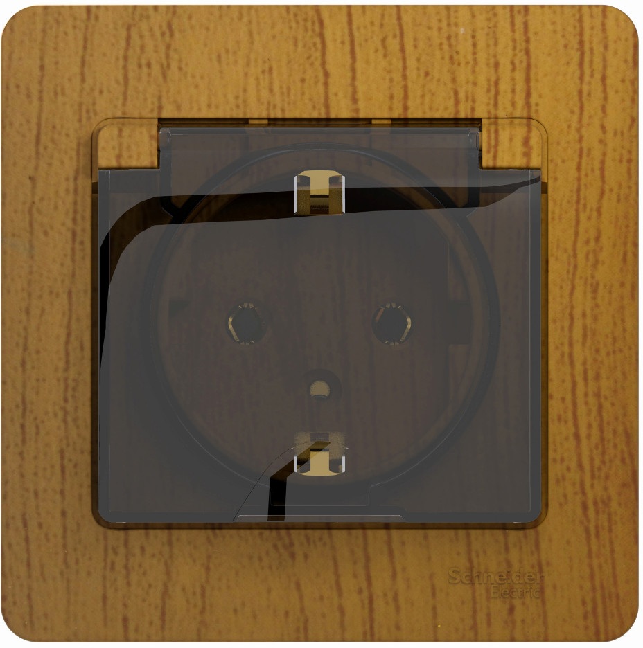 Розетка встраиваемая с заземлением, шторками и крышкой (дуб) Systeme Electric GSL000546