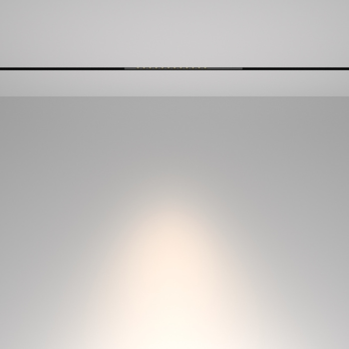 Трековый светильник Maytoni Points TR232-2-10W4K-B_MY