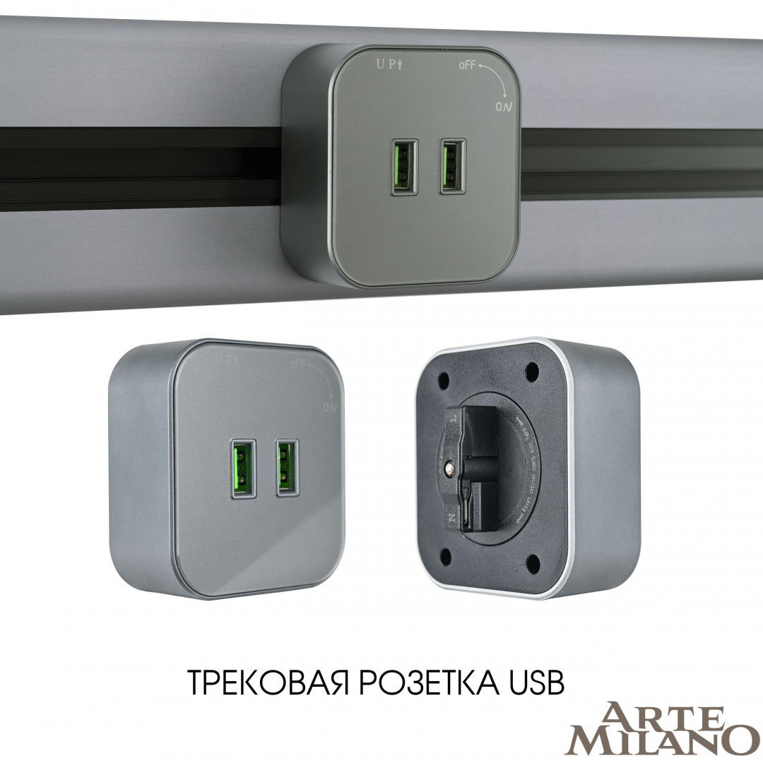 Трековая розетка Arte Milano track-sockets 380022TS/USBx2 Grey