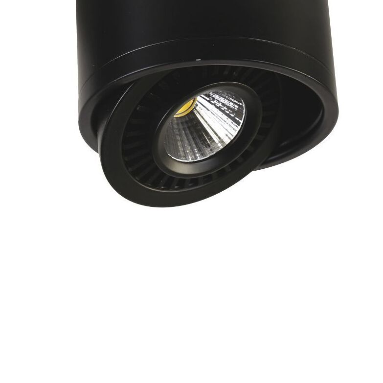 Потолочный светильник Favourite 1777-1C