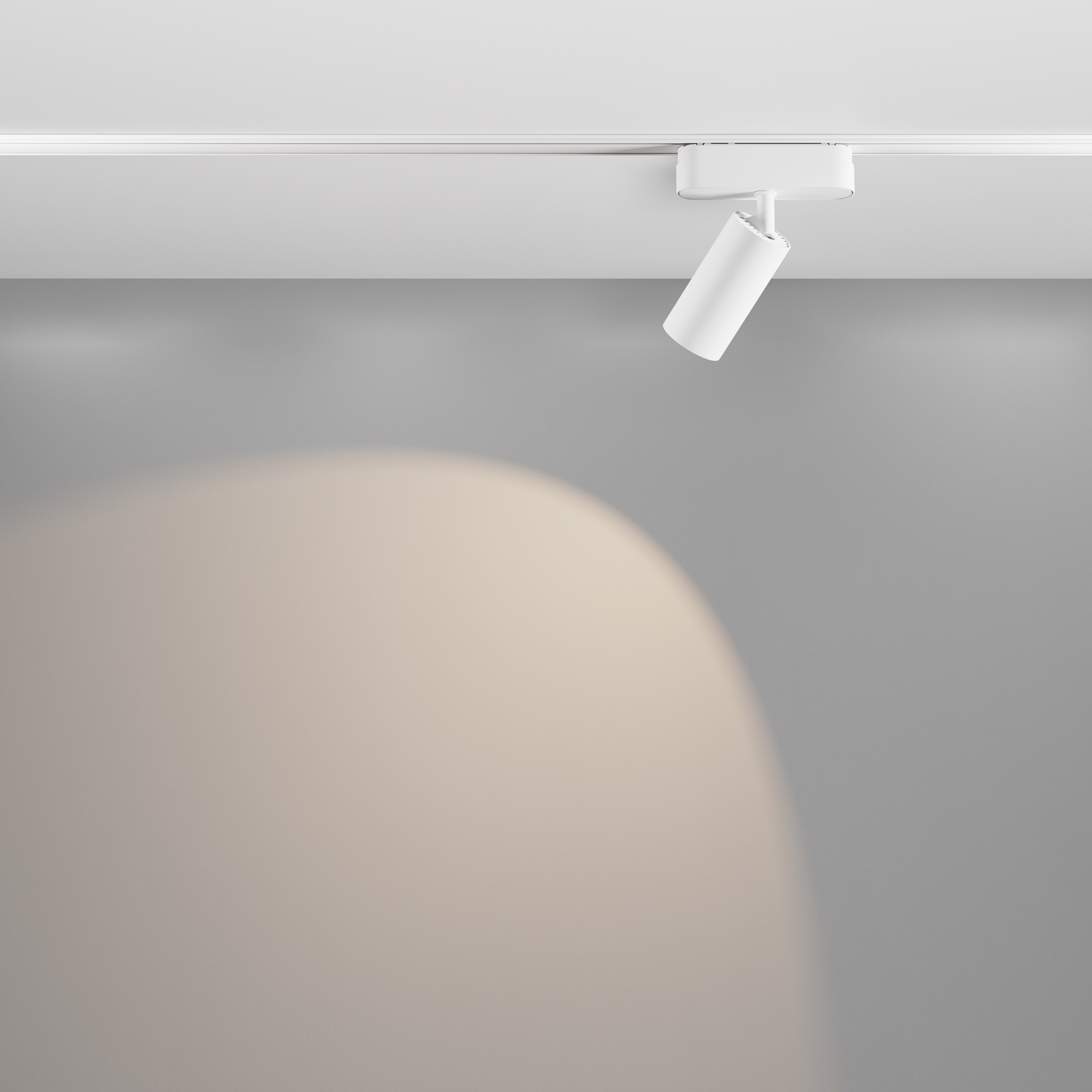 Трековый светильник Maytoni Focus LED TR103-1-12W4K-M-W_MY