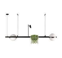 Подвесной светильник LOFT IT Jardin 10121/D_LF