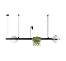 Подвесной светильник LOFT IT Jardin 10121/D_LF