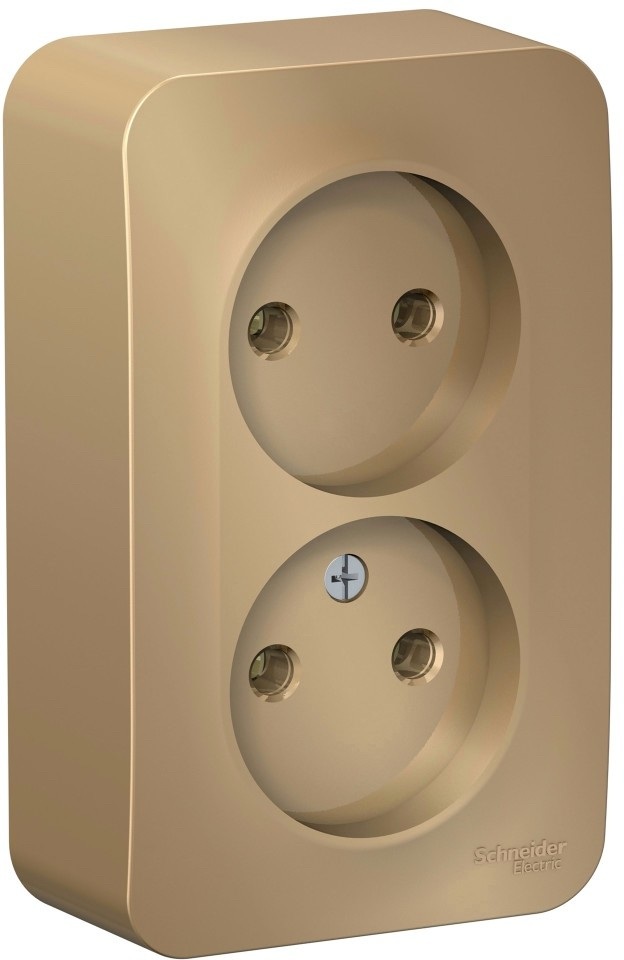 Розетка накладная двойная без заземления (титан) Systeme Electric BLNRA000214