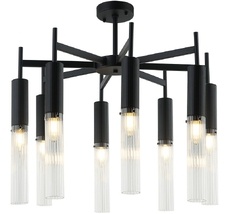 Потолочная люстра на штанге Aployt APL.327.17.08