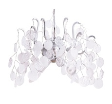 Настенный светильник Divinare SPUMANTE 7288/26 AP-2_DI