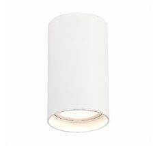 Накладной светильник ST Luce ST157.542.20