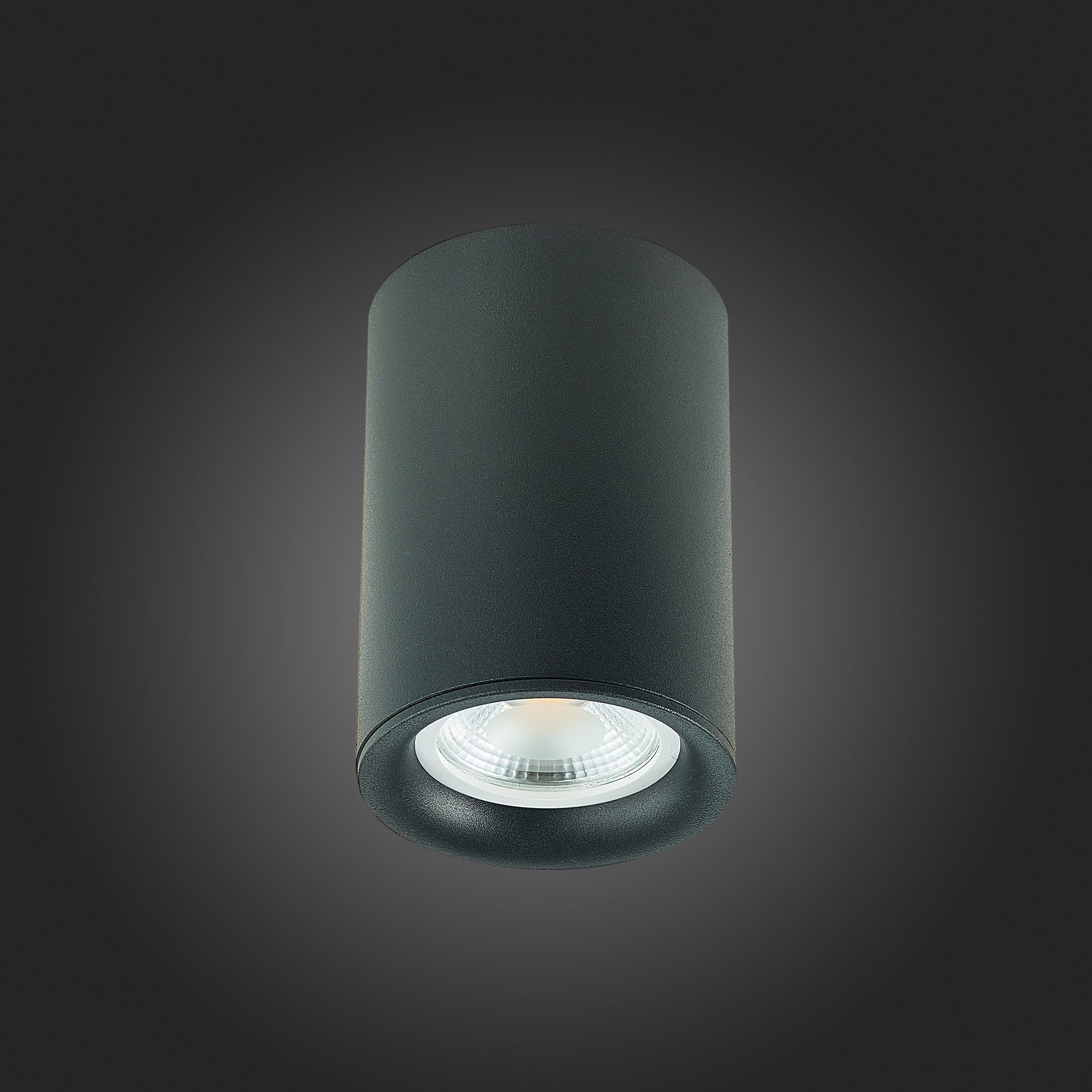 Потолочный светильник ST Luce ST114 ST114.407.01