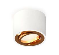 Накладной светильник Ambrella light Комплект накладного поворотного светильника Techno XS7510004_AMB