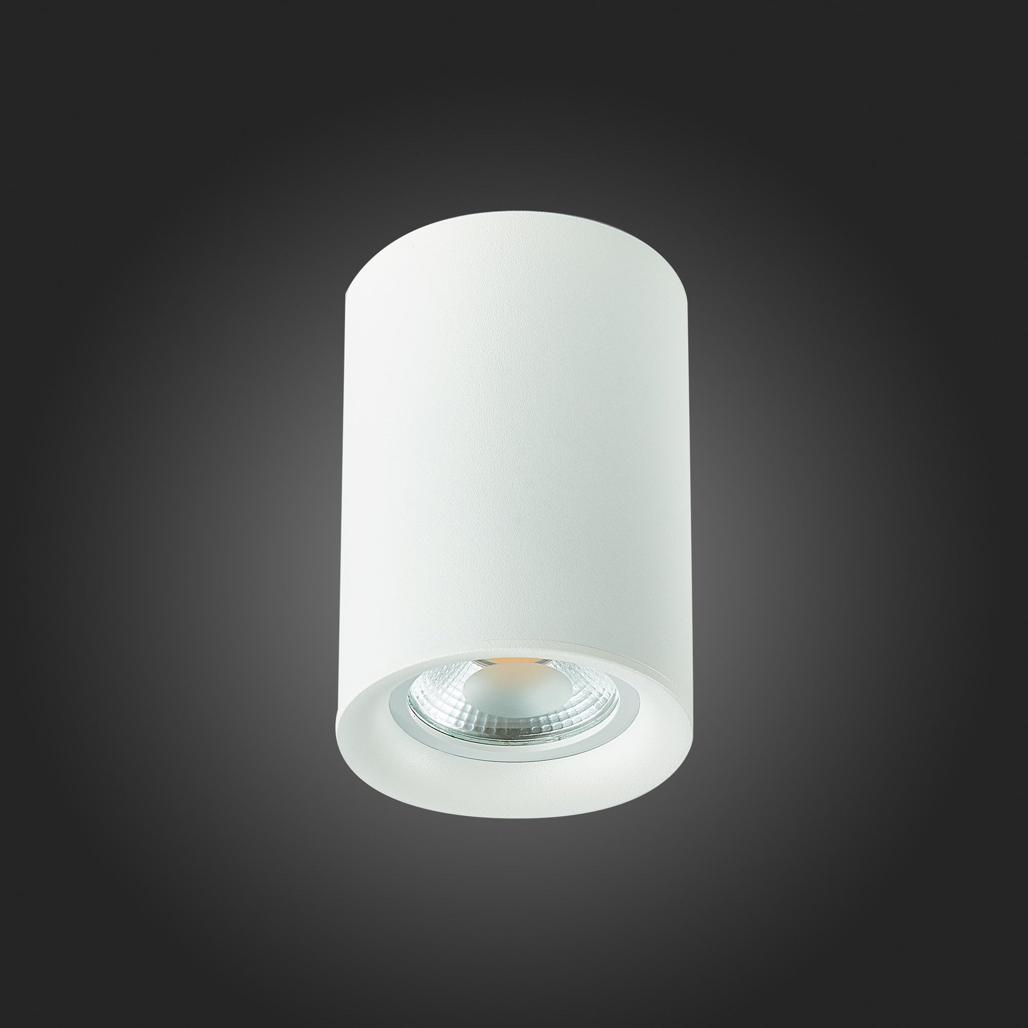 Потолочный светильник ST Luce ST114 ST114.507.01