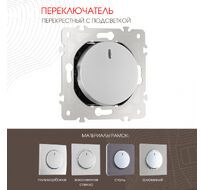 Переключатель одноклавишный перекрёстный с подсветкой 10AX 250V Arte Milano 202.35-1.silver