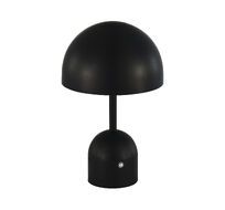 Настольная лампа EVOLUCE ECLAT SLE1806-404-01