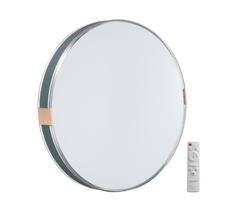 Настенно-потолочный светильник Sonex OTIGA BLUE 7677/EL_Sonex