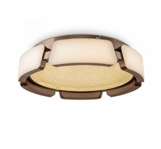 Потолочный светильник Freya Ethan FR6041CL-L92W_MY