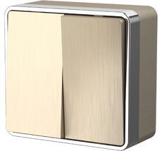 Выключатель двухклавишный Gallant WL15-03-01 a051044_WR